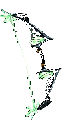 Albatross Bow