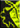 Add Poison Arrow