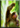 Add Upper Beast Enhanced