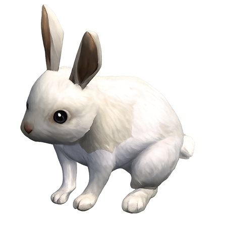 Rabbits